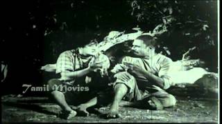 Sengamala Theevu Full Movie HD [upl. by Mallon854]