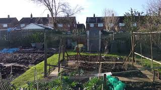 Luton Wigmore Lane Allotments  January 2020 [upl. by Wollis]