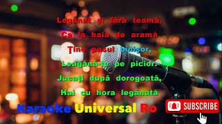 Petrica Mitu Stoian Joaca lumea joc si eu Karaoke Universal Ro [upl. by Enial]