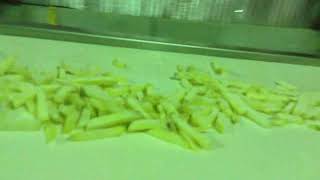 Optimize Fries Quality with PreCooling  Fluidized IQF Freezer [upl. by Gabriel]