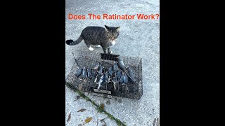 The Ratinator  A Review [upl. by Mallis]