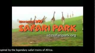 The San Diego Zoo Safari Park Tour [upl. by Tekla]