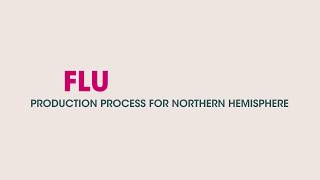 Flu Vaccine Production Process for the Northern Hemisphere [upl. by Ettelrahc]