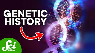 Can Your Environment Affect Your DNA  Epigenetics Explained [upl. by Grey]