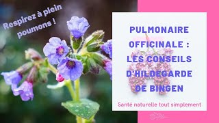 La pulmonaire officinale  les conseils dHildegarde de Bingen [upl. by Aduhey]