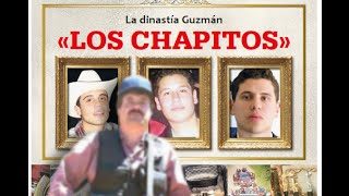 LA DINASTIA GUZMÁN LOS CHAPITOS [upl. by Milinda]