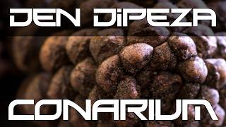 Den Dipeza  Conarium Lyrics [upl. by Idnym107]