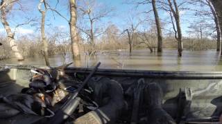 Boykin Spaniel Public Hunt In Arkansas [upl. by Htebaile103]