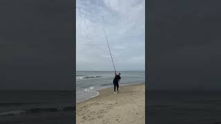 Cannolicchio in pendulum fishing fish surffishing longcasting surfcasting pesca beach angler [upl. by Heer]