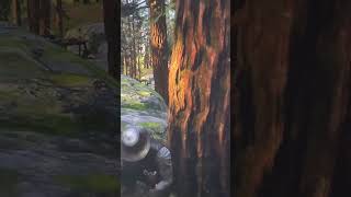 Otis Skinner  RDR2 rdr2clips rdr2 reddeadredemtion2 skinner rdr2online gta6 [upl. by Pellet]