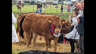 Stokesley Show 2024 [upl. by Elata981]