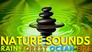 Relaxing Music with Nature Sounds Rain Forest Ocean Fireplace [upl. by Nawat115]