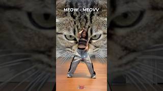 ギュジンにぴったりすぎる曲！nmixx nswer jyp fyp cover dance meow meovv kyujin [upl. by Starks]