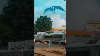 KA ARJUNO EKSPRES DI PANTAU BURUNG BESAR keretaapiindonesia [upl. by Eydnarb]