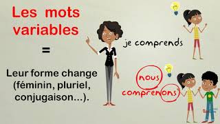 Les classes grammaticales [upl. by Terrab]