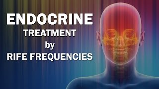 Endocrine Healing Frequency  RIFE Frequencies Treatment  Energy amp Quantum Medicine Bioresonance [upl. by Tnerb725]