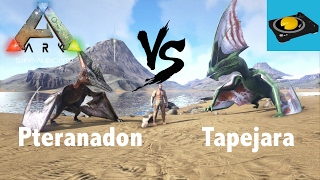 Ark Insight  Pteranodon VS Tapejara [upl. by Ainar]