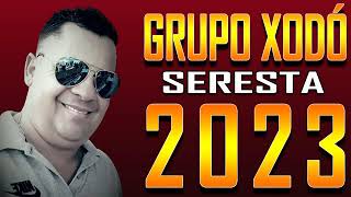 Grupo Xodó Seresta Pra Paredão2023 [upl. by Erodroeht403]