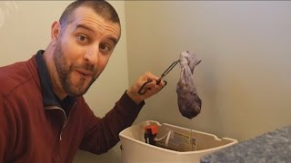 Leaching Acorns In My Toilet Tank [upl. by Enaols]