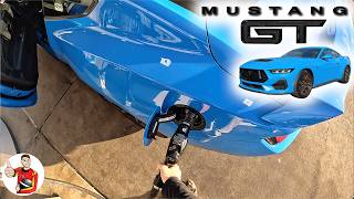 What Its Like to Live with a 2024 Ford Mustang GT Manual POV [upl. by Dorahs]