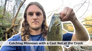 Catching Minnows in the Creek with a Cast Net Smallmouth Bass [upl. by Jordans445]