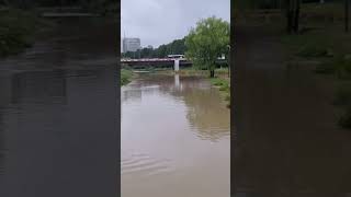 Yangjae Stream After RainRío Yangjae después de la lluvia [upl. by Amandi]