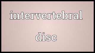 Intervertebral disc Meaning [upl. by Hittel]