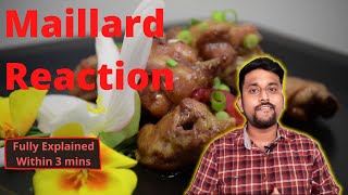 Maillard Reaction vs Caramelisation What is maillard reaction Fully explainedwithin 3 mins [upl. by Emmer]