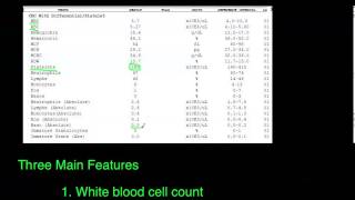 Overview of the Complete Blood Count [upl. by Ylloj]