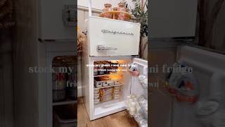 Satisfying ✨mini✨fridge restock organization home organizer homeorganization food mini snack [upl. by Nauqan]