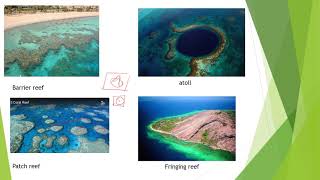 environment and ecology shankar IAS series  coral reef by IAS DELHI LIVE [upl. by Livingston]