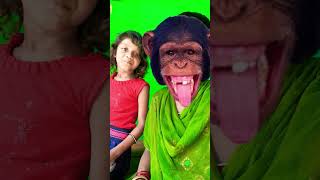 Bandar mama pahan pajama dawat khane aaye 🐵🐵🙊viral [upl. by Drofliw611]