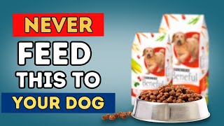 What Dog Food Do Vets NEVER Feed Their Pets The Surprising Truth [upl. by Edia]