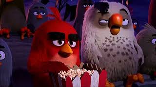 The Angry Birds Movie 2016 Scene RedOpening Titles [upl. by Dirraj389]