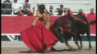 Corrida à la Féria du Riz dArles 2010 [upl. by Nisa257]