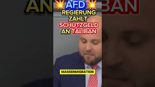 ⚠️HEFTIG⚠️ Regierung zahlt Schutzgeld an TALIBAN afd scholz ampel höcke weidel ampelmussweg [upl. by Vanna915]