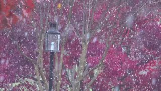 Seasons first snow falls in the DMV [upl. by Gainer]