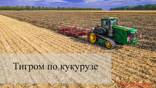 John Deer 9520 RT  HORSCH Tiger 4MT правильная обработка кукурузной стерни [upl. by Einahpets]