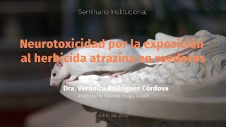 Neurotoxicidad por la exposición al herbicida atrazina en roedores [upl. by Yesnel]