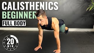 20 Min BEGINNER CALISTHENICS WORKOUT at Home  No Equipment [upl. by Kroy]