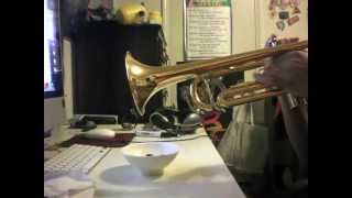 Sarias Song Legend of Zelda on Trumpet [upl. by Esyak]