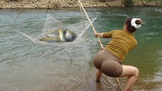 Fishing Techniques  Traditional Net Fishing Using Good Bait Catch a Lots Of Fish  Girl Fishing [upl. by Victor229]