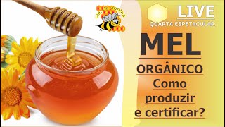 COMO PRODUZIR O MEL ORGÂNICO [upl. by Rew]