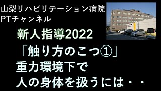 「新人指導2022：How to touch －触り方のこつ①－」20220413 [upl. by Oicam]