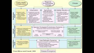 Zoonoses lecture Melissa Leach [upl. by Slyke311]