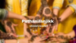 puthanilanjikk slowedreverbmailanji monjulla veedmalayalam slowed song [upl. by Cullen]