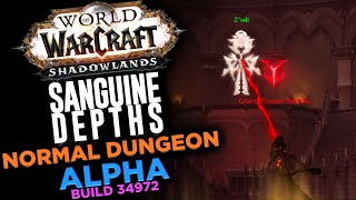 Sanguine Depths Normal Dungeon  Shadowlands Alpha 34972 [upl. by Cotterell295]