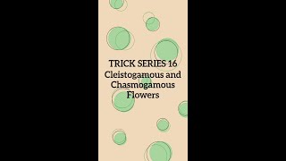 Trickseries16 Cleistogamous and Chasmogamous flowers [upl. by Pollard87]