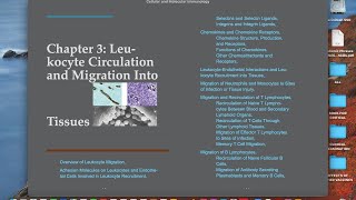 “Chapter 3 Leukocyte Circulation and Migration Into Tissues [upl. by Nalani184]