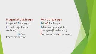 Pelvic diaphragm Medical mnemonic for Neet PG and UG by dr Prakash nayak [upl. by Hosfmann]